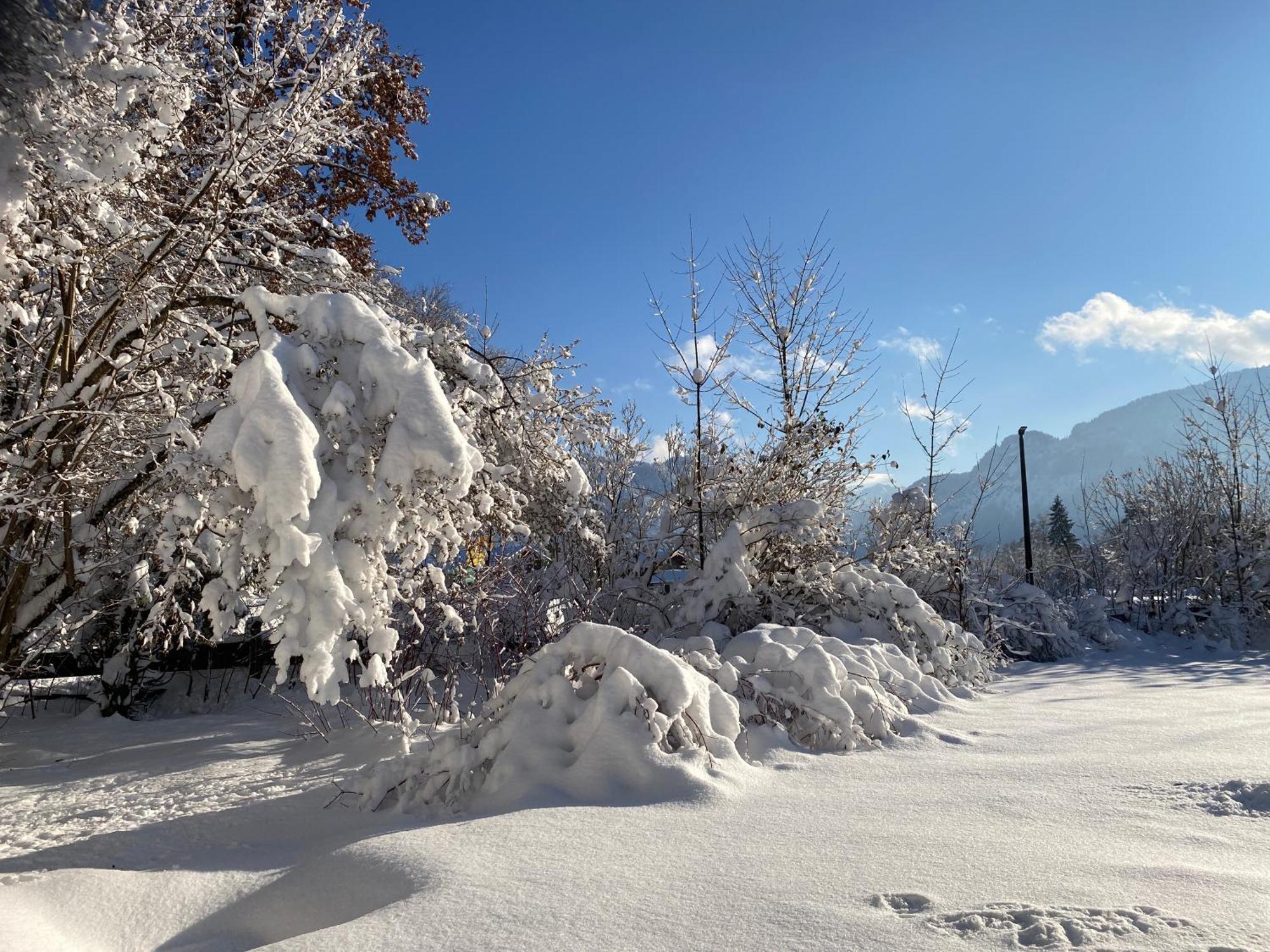 Ferienhaus Endroes - Chiemgau Karte Inzell Exterior foto